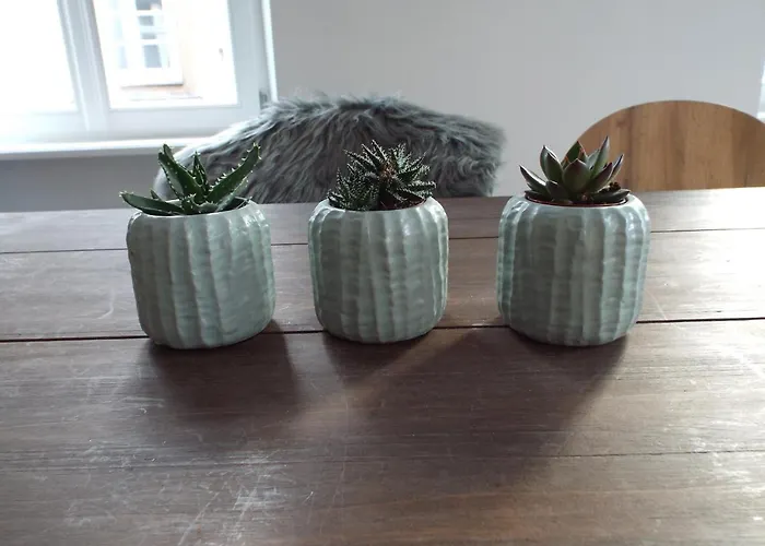 Mittendrin Mit Parkplatz *